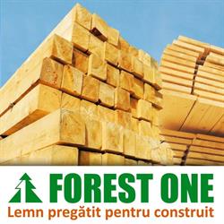 Forest One