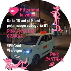 Şcoala de şoferi SK Pink Panther