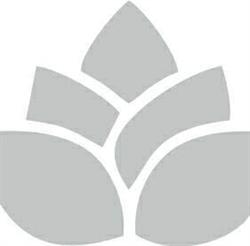 Clinica New Dent
