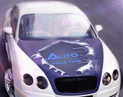 Auto Consulting