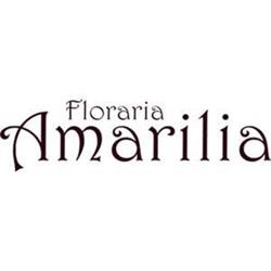 Floraria Amarilia