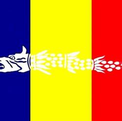 Cabinet Avocat Niţă Cătălin si Niţă Ana-Maria