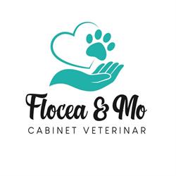 Flocea & Mo