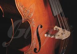 Gliga Instrumente Muzicale SA