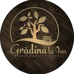 Grădina lu' Ion