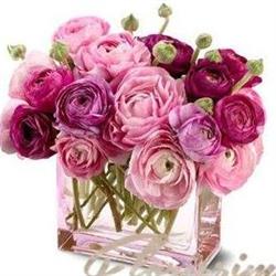 Florissimo