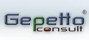 Gepetto Consult S.r.l.