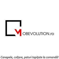 mobevolution.ro