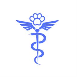 Veterinarium Buftea