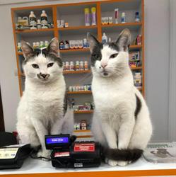 LOUISE VET Farmacie Veterinara