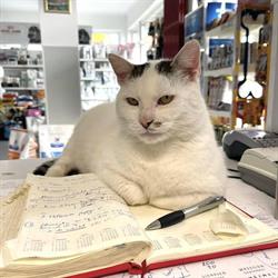 Cabinet veterinar Dr. Susa Ioan