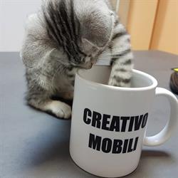 CREATIVO MOBILI