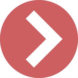 Vector Consulting
