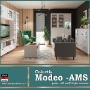 Colectia MODEO -AMS