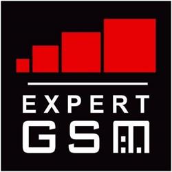Expert Gsm Radauti