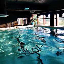 Element Aqua Studio