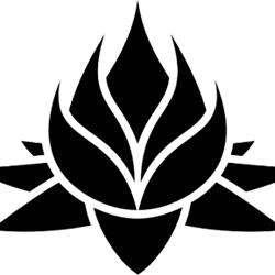 SC Black Lotus Concept SRL