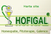 S.c. Hofigal Export Import S.a.