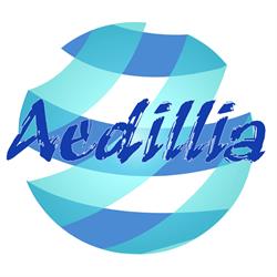 S.C. Aedillia Construct 90 S.R.L.
