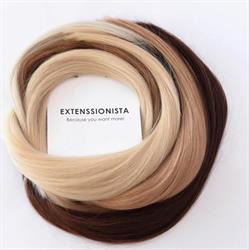 Extenssionista