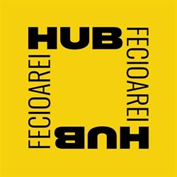 Fecioarei Hub