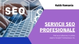 Servicii SEO