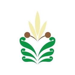 Gelsomino