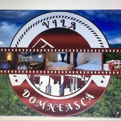 Vila Domneasca