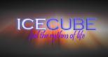 Cube Ice SRL