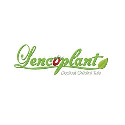 LENCOPLANT IZBICENI