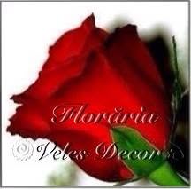 Floraria Veles Decor