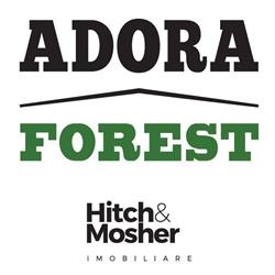 Adora Forest