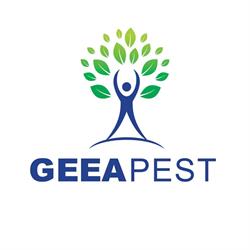 TEHNO GEEAPEST