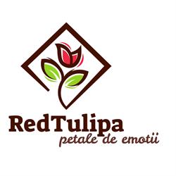 Florăria Red Tulipa