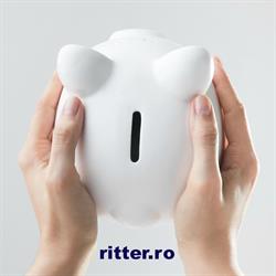 RITTER.ro
