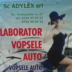 Adylex - Materiale de Construcţii  & Laborator Vopsele Auto