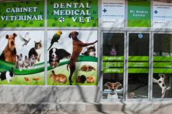 Dental Medical Vet