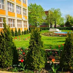 Scoala Gimnazială 'Mihai Eminescu' Roşiorii de Vede