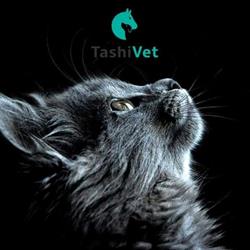 Cabinet veterinar si Salon toaletaj TASHI VET