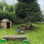 Outside