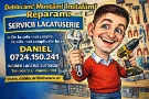 LACATUS TIMISOARA
