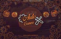 Service Auto Oanea