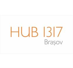 Hub 1317