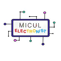 Centrul de cursuri pentru copii "EduCat" - MICUL ELECTRONIST, ROBOTICA, PROGRAMARE