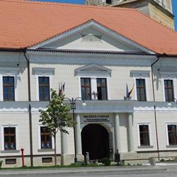 Muzeul Tradiţiilor Codlene