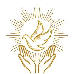 Biserica Penticostală Isus Lumina Lumii - Negresti Oas