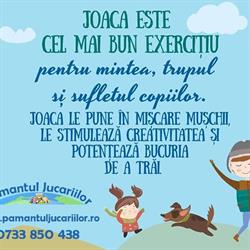 Pamantul Jucariilor Srl