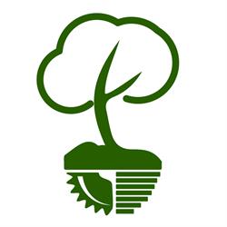 FORESTFALT SERVICII SRL