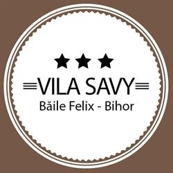 Vila Savy - Băile Felix
