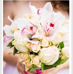Anastasia Boutique des fleures